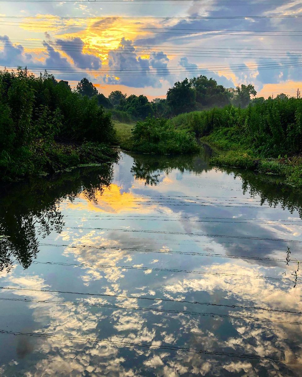 VisitSugarLand's tweet photo. We can’t get over this stunning view at Oyster Creek Park! 😍
📷: Instagrammer @amy_l_m
#AllInForSLTX #VisitSugarLandTX
https://t.co/TikZs0caWU https://t.co/oelW64dRd5
