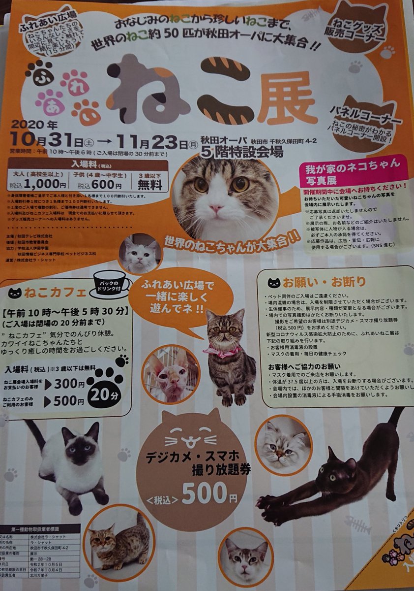 秋田ハナコ 秋opaで開催中のねこ展に行ってきたよ ねこカフェに入らなくても ふれあい広場 があって猫と触れ合えたよ 15分の時間制 写真撮影は別途500円かかるから写真は撮らなかったけど可愛い子がいっぱい居た ねこ展 秋田オーパ 秋田市 秋田ハナコ 秋opaで開催中のねこ展に行ってきたよ ねこカフェに入らなくても ふれあい広場 があって猫と触れ合えたよ 15分の時間制 写真撮影は別途500円かかるから写真は撮らなかったけど可愛い子がいっぱい居た ねこ展 秋田オーパ 秋田市