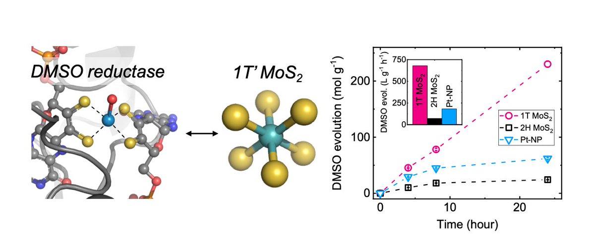 Voiry Group Cnrs Voirygroup Twitter