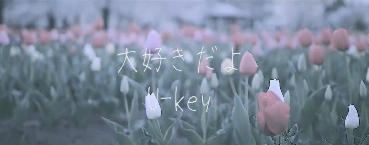 totto_ty_64's tweet photo. 今日は #恋人たちの日 らしいのでこの2曲から♡
優しくて暖かくて恋がしたくなっちゃう💕😊
https://t.co/QatPEbm7gn @YouTubeより
#大好きだよ
https://t.co/iRko98yvPO
#LINEMUSIC #無料でフル再生OK
#薄っぺらくてありきたりなラブソング
#BOOOST
#Ukey #ukey64 #May #Gassy
#BANDWARS
#nao https://t.co/j64UabrOyr