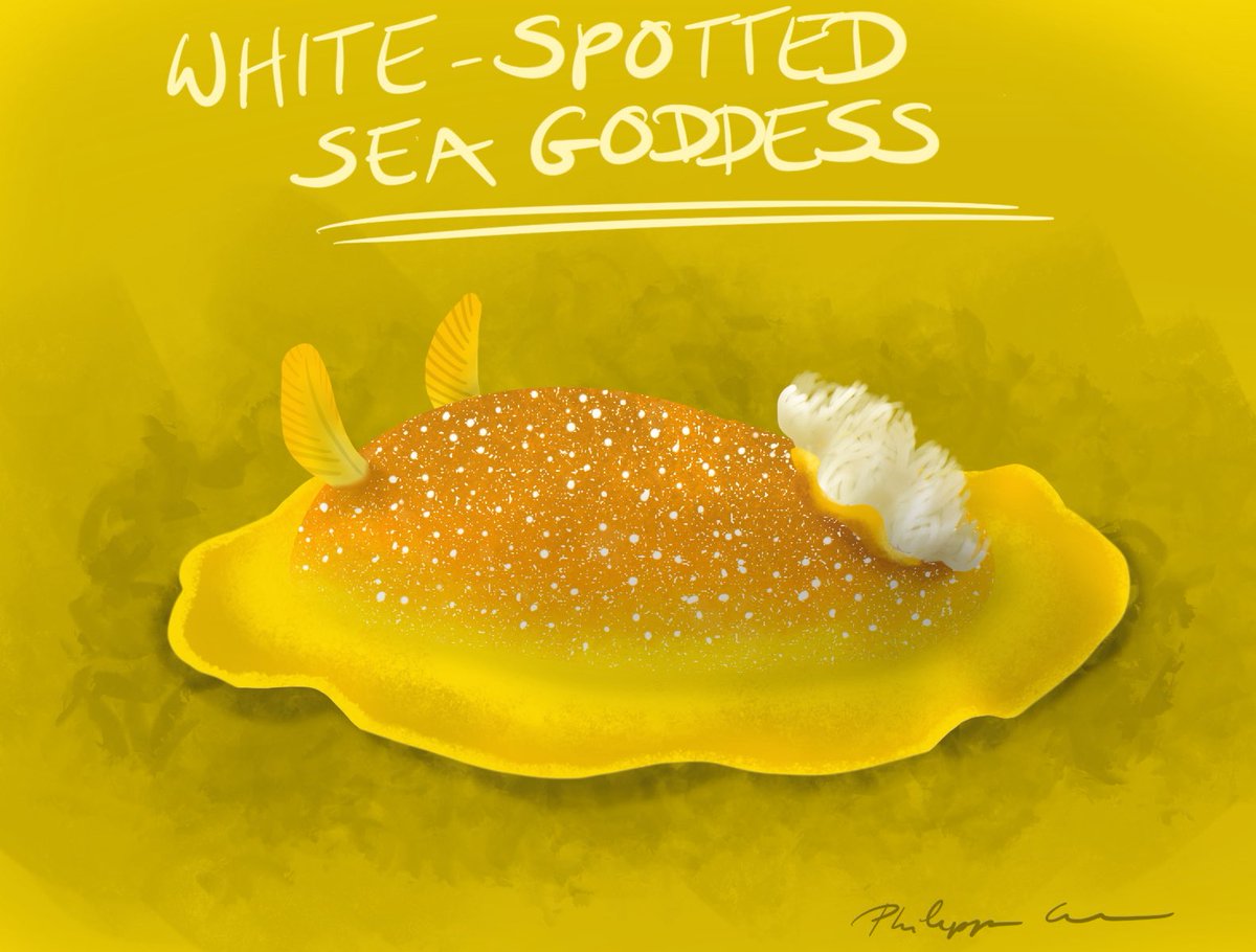 Day 3 of  #huevember2020 and we’re edging towards orange :)