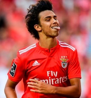 Don't mess with Felix 