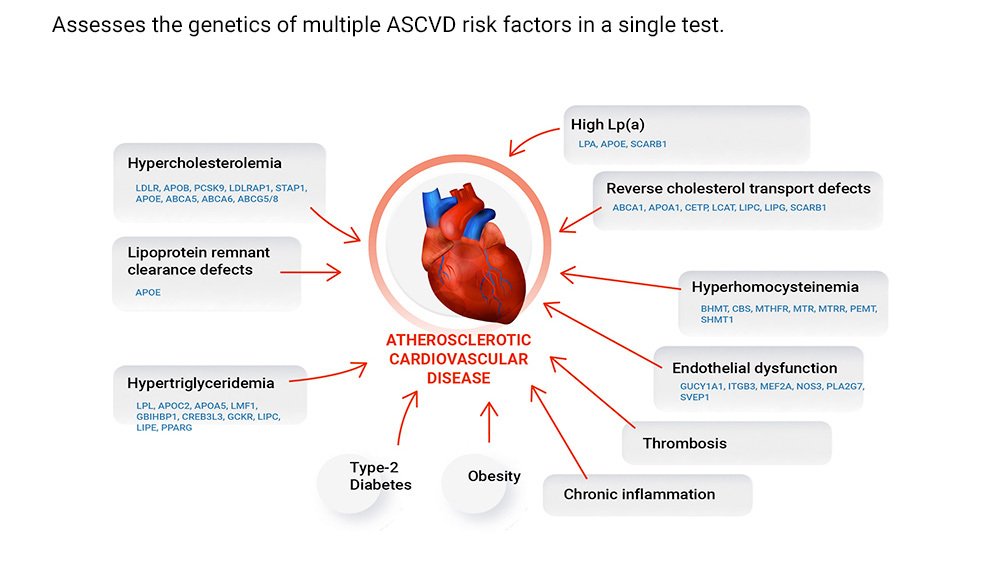 Mendel Roth tweet media