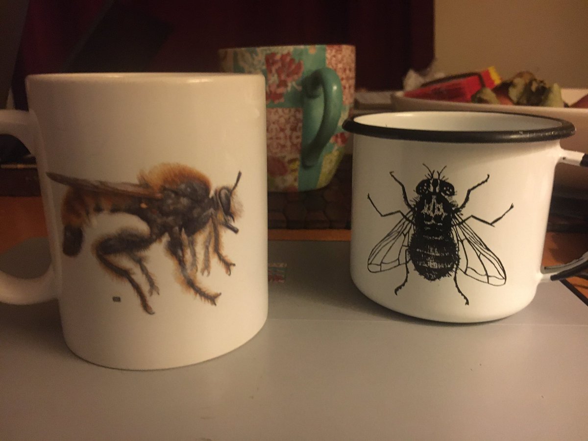 flygirlNHM's tweet photo. @kmagnacca @LepanusLady One for home and one for the field #TeamFlies #ECN2020 #entoMugs https://t.co/tQgW9zcHo0
