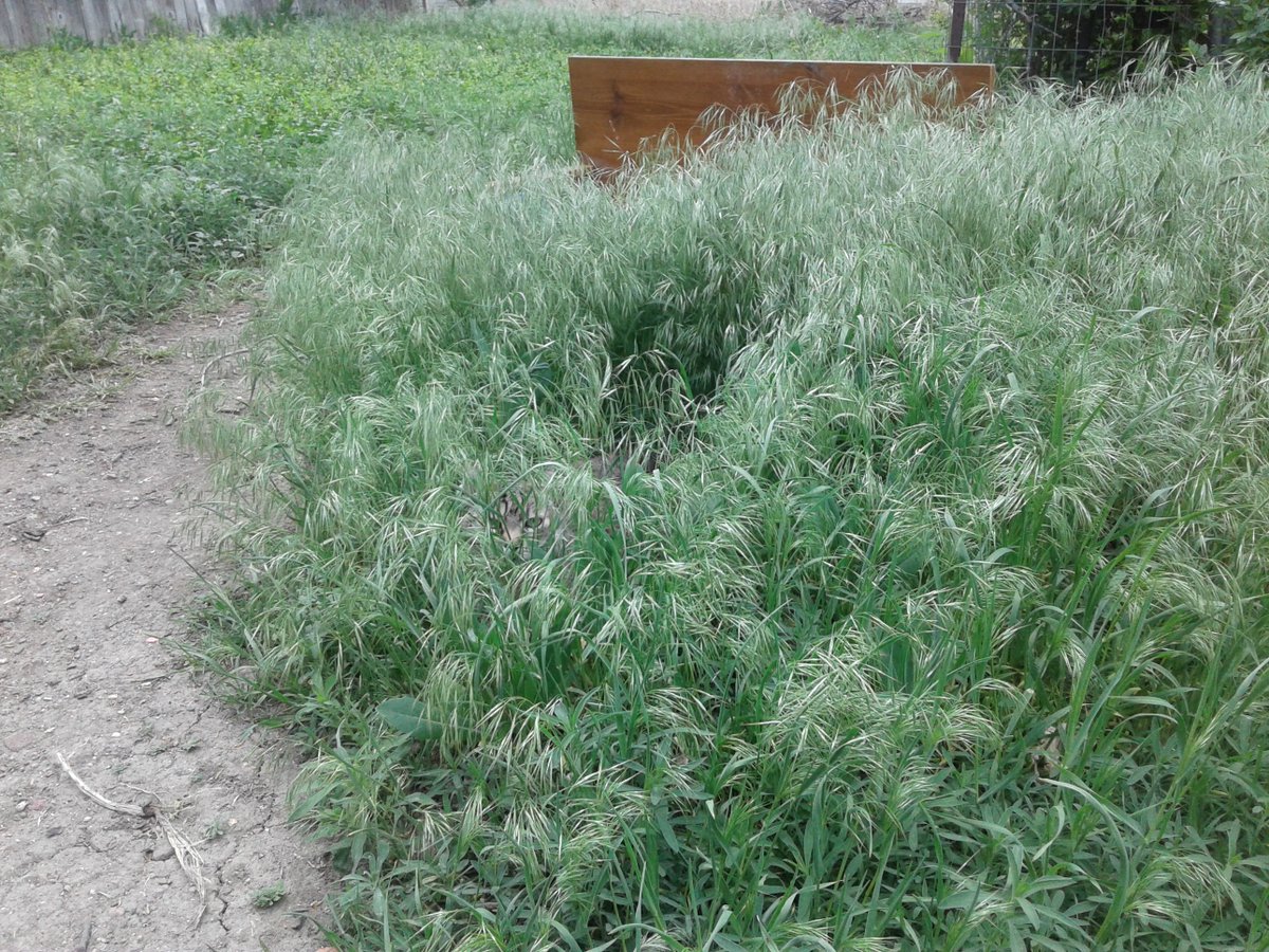 TheGleemanRadio tweet media