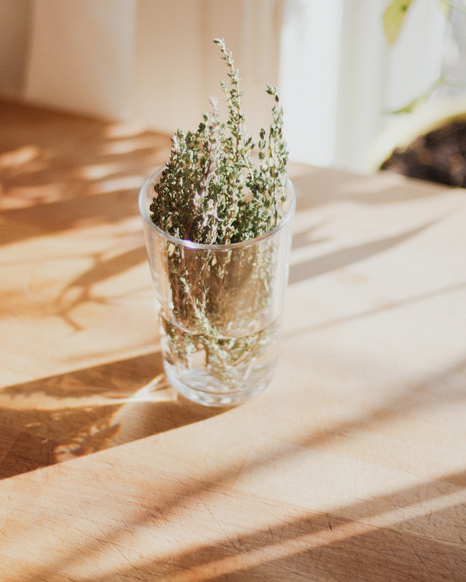 We are committed to eliminating from our processes anything that causes harm to person, animal or #planet. We demonstrate this commitment by choosing for our formulations, #natural #botanical materials that are free of #pesticides and fertilisers. #CircularTechnologies #Skincare