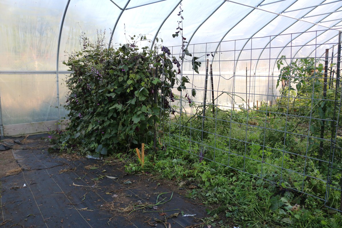 OURunning's tweet image. Thank you to those of you who volunteered with us a couple weeks ago at the Student Organic Farm and thank you to those of you who came to hang out with us at TreeRunner!