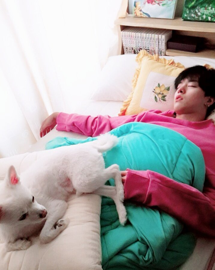 ravnarchive's tweet photo. it's sunny's birthday so everyone say happy birthday sunny https://t.co/PmIqtfiMuA