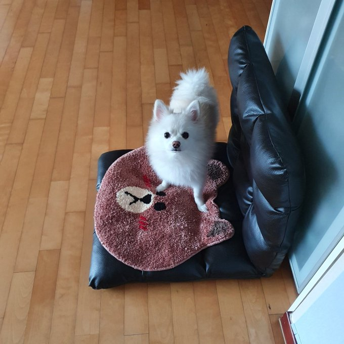 ravnarchive's tweet photo. it's sunny's birthday so everyone say happy birthday sunny https://t.co/PmIqtfiMuA