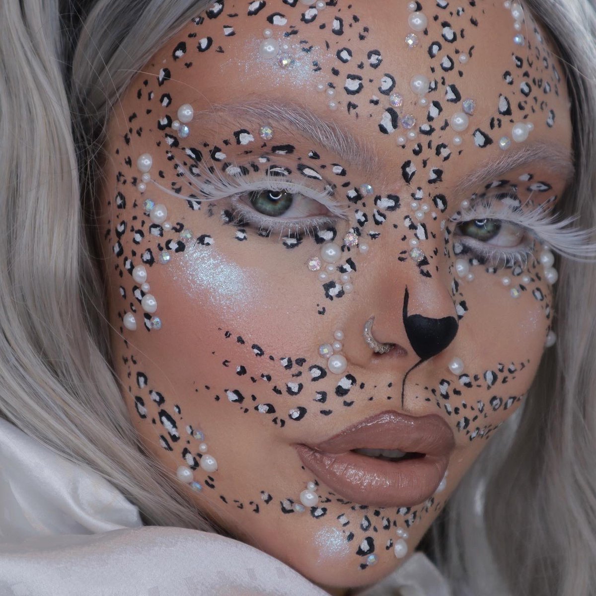 caitssdarling's tweet photo. 🐆❄️SNOW LEOPARD❄️🐆 https://t.co/uFeuEVMzm1