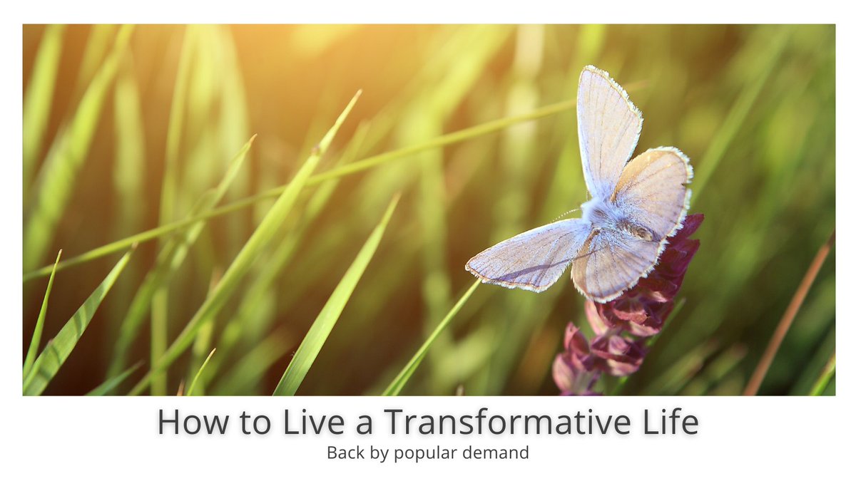 Kelly Wendorf tweet media