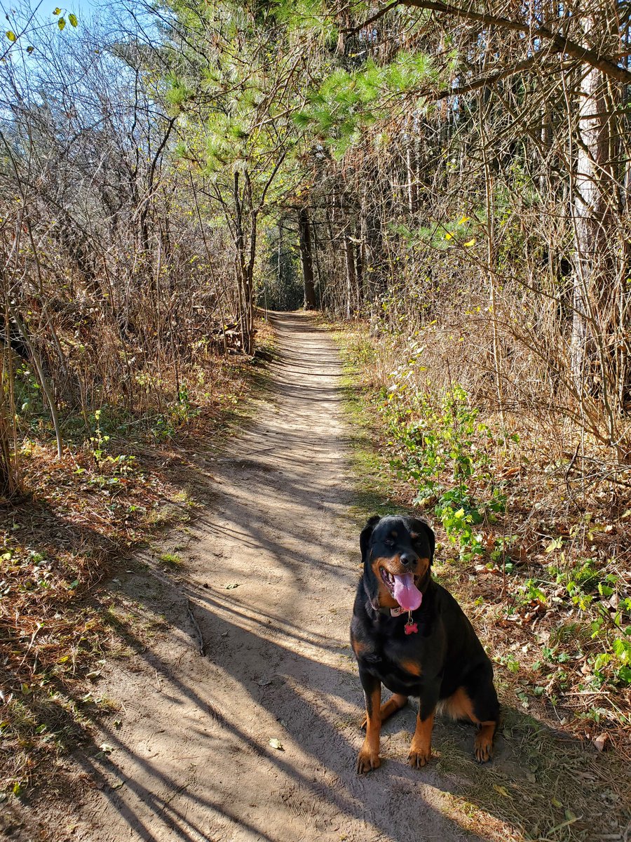 Don't forget to take some time to step away from your screen if you are #workingfromhome!  These warm days are fleeting, but are so good for our #mentalhealth and soul ❤  Such a glorious way to re-energize (and the company is the best)! #unplug #MentalHealthMatters #selfcare