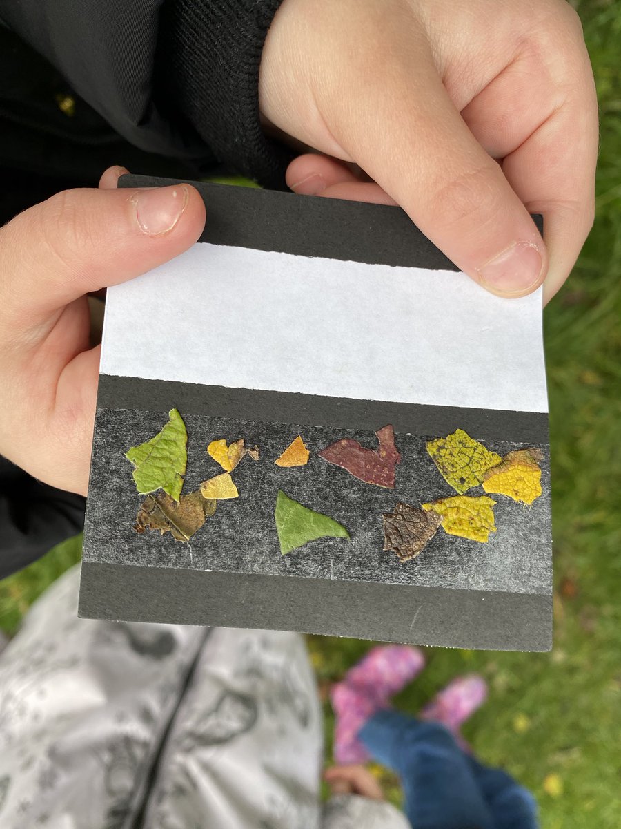 ScoutedChris's tweet photo. A busy start to the new school year, plenty of primary schools,  some alternative education and staff training with fires. #ForestSchools #OutdoorEducation #Bushcraft #Survival https://t.co/uW3veqaK6z