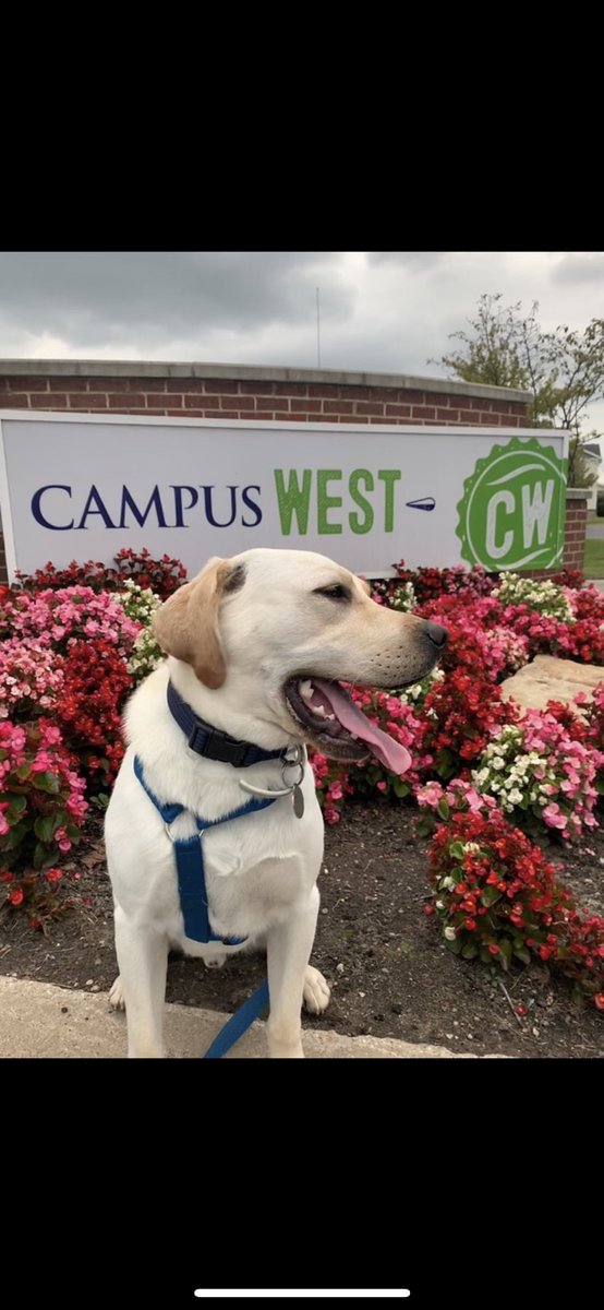 Did you know we are pet friendly? 

Give us a call to secure a home for you and your furry friend 🐶🐱