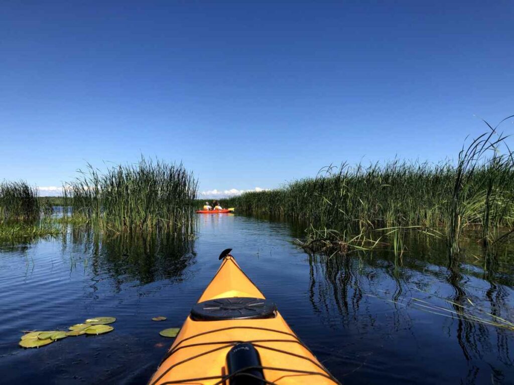 DCAdventureCntr's tweet photo. Who else could use these #Views right now? #dcacfun https://t.co/asjFTYW0tK