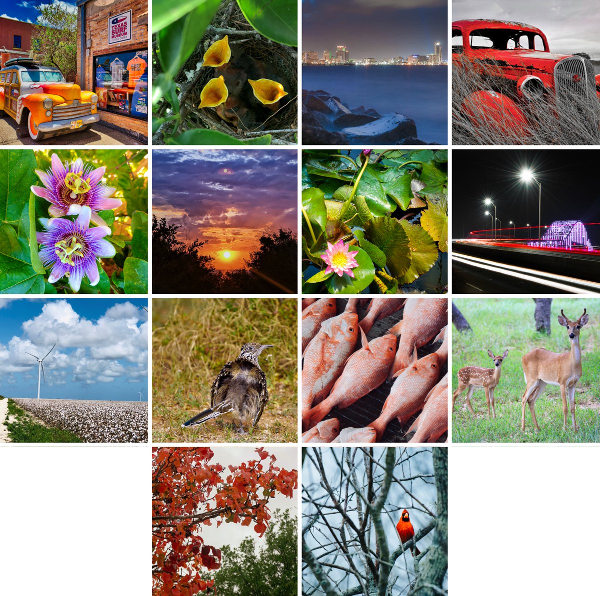 fcbotx's tweet photo. We're excited to share photos that will be featured in our 2021 Images of South Texas calendar. The calendar will cover the beauty of South Texas as seen through the eyes of some of our talented FCB employees! Calendars will be available soon — stay tuned. #MemberFDIC #fcbotx https://t.co/hOTqNmC1Si