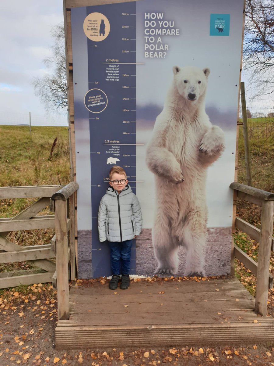 pie_snr's tweet photo. @CarnockPS on holiday with Archie its all educational https://t.co/dp0R98TTWu
