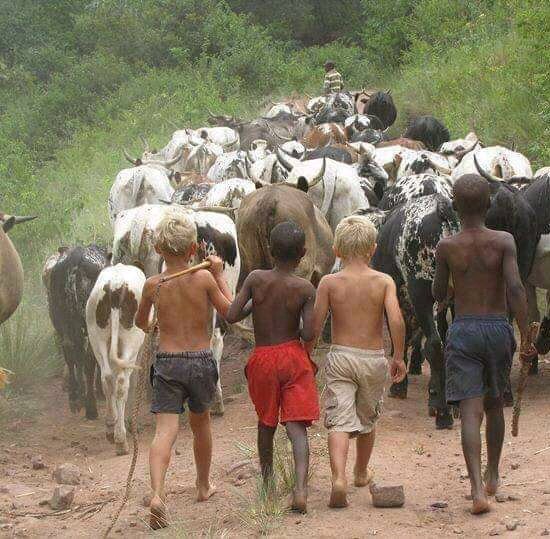 gatsiosafariz's tweet photo. #Nomadic #life
#thislifeWeLive https://t.co/CEQInrnN23