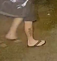 🔺COMMUNITY HELP: Do you know who this is? This person might have information related to criminal activity that happened in the area of Foxridge Road in Orange Park. Contact Detective Senters at bsenters@claysheriff.com or at 904-213-6752 w/ info.