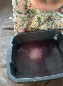 GEPSClass1's tweet photo. This Class 1 super scientist explored dissolving today!  She has also practiced her number recognition, football skills and learnt the days of the week off by heart! Amazing!😊👏🌟🧪 https://t.co/fGvSi4RV5F