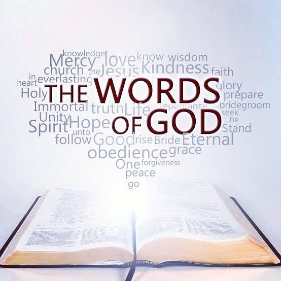 christkitchen_'s tweet photo. This year has been challenging—to put it mildly—so it is nice to be reminded that there is a God who loves us, walks with us, hears our prayers, and has saved us. https://t.co/gn6a7uiyBm