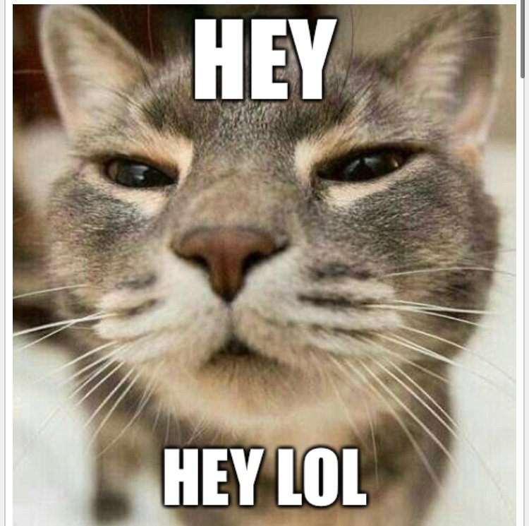 xiaoflv's tweet image. ee err