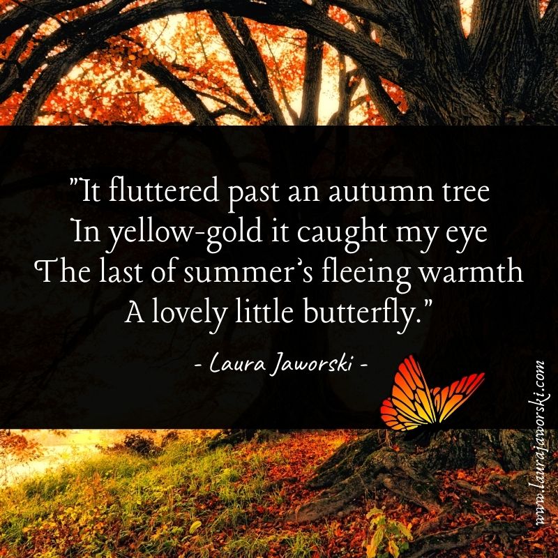 BugburryPond's tweet photo. "It fluttered past an autumn tree
In yellow-gold it caught my eye
The last of summer's fleeing warmth
A lovely little butterfly." 

Laura Jaworski 🍂

#autumn #autumnquotes #autumnvibes #autumnpoems #poetry #laurajaworski #happythings #happytuesday #namaste🙏 https://t.co/4CagtUm8OR