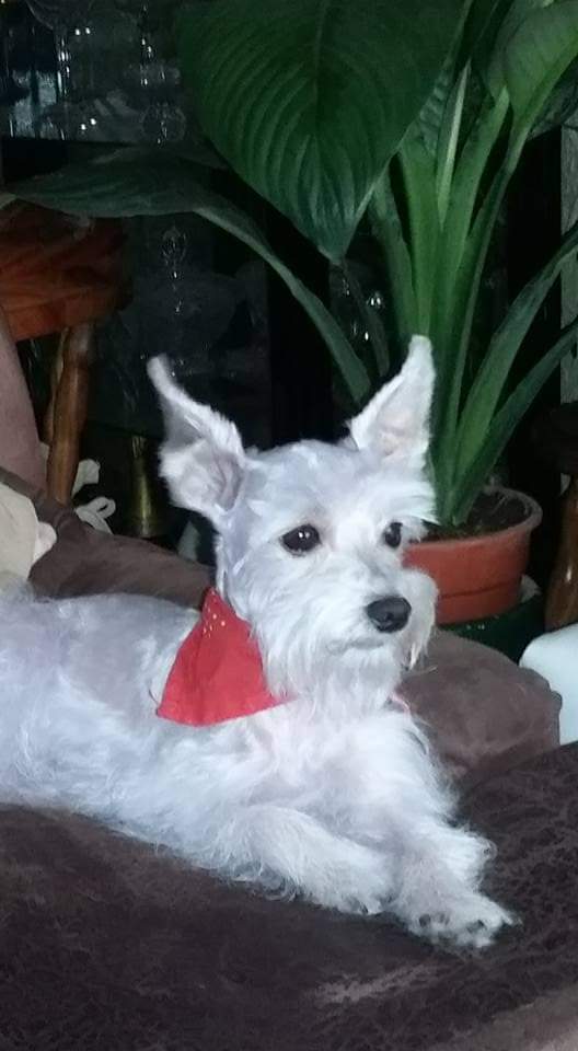 Lore 🇨🇷 tweet media