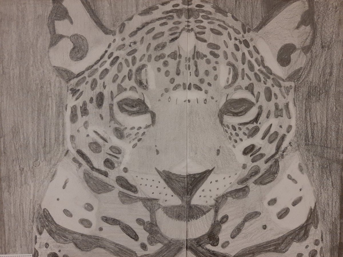 resykalski's tweet photo. Can you draw better than one of my 5th graders? 🧐 @clintonwischool @ErikaStew2484 @JimBrewer_edu #BeCougarProud https://t.co/3NXOpcaUnF
