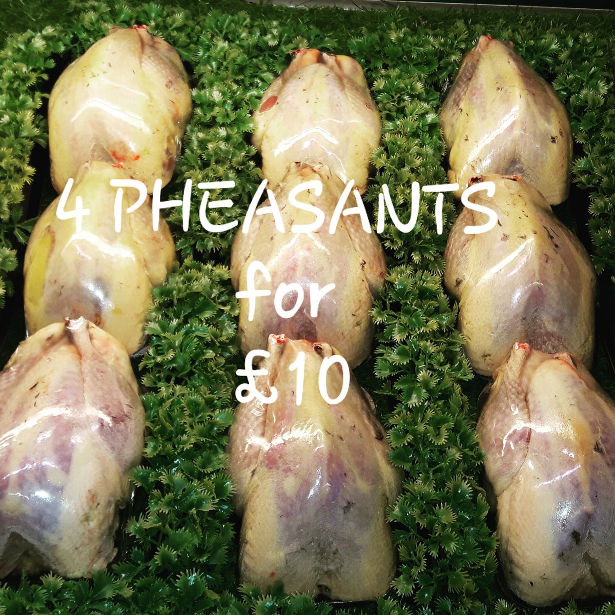 stourvalleygame's tweet image. This Sunday we are @AylesfordFmMrkt 9.30 to 1.30pm 
All Kentish game and meats available.We will have the last of the pheasant and partridges until end of lockdown. 
As well as some fantastic local Lamb from Alistair Palmers farm at Shottenden #shoplocal #supportlocalbusinesses