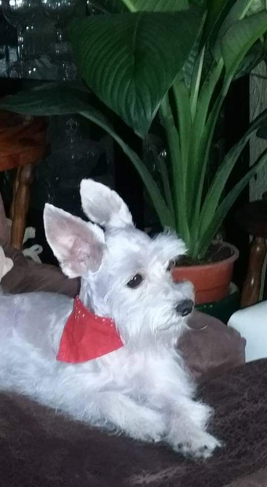 Lore 🇨🇷 tweet media