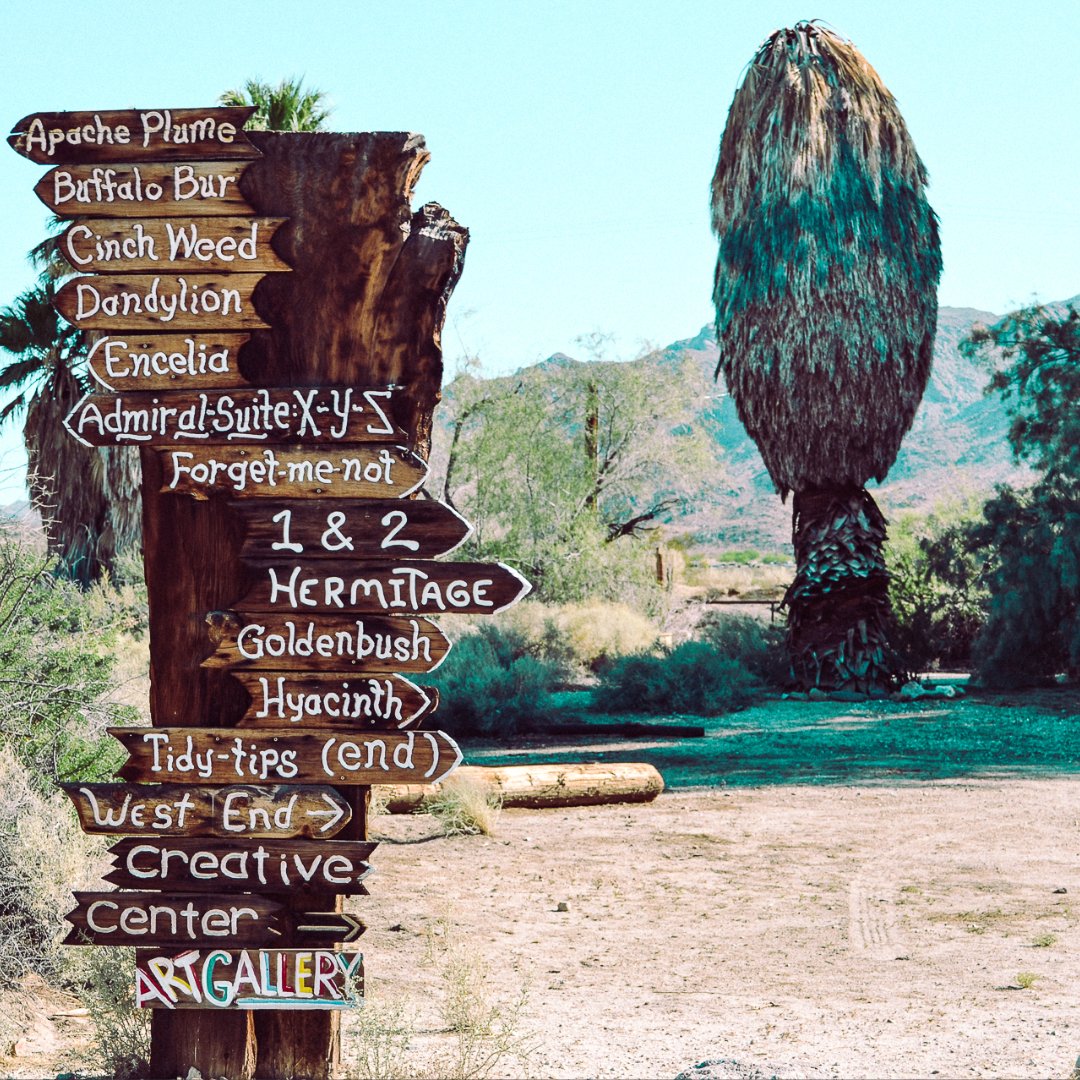 The Secret Tours - Joshua Tree tweet media