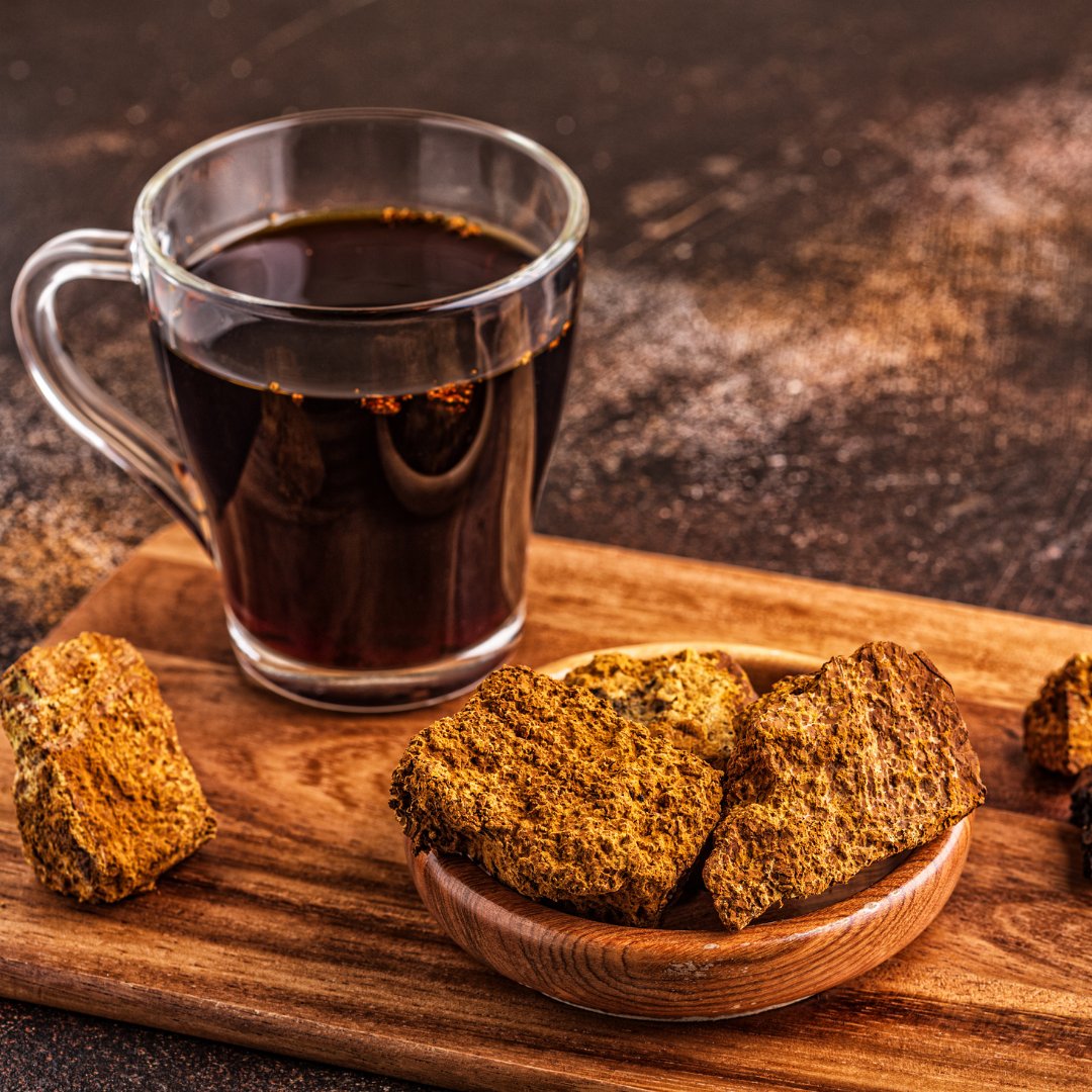 NourishNutrient's tweet photo. #Healthtip Did you know that Chaga helps to slow the aging process and prevents drug side effects? 

Love superfoods? Go to our Superfood store https://t.co/HvCr7E53wg

#health #fitness #superfood #diet #nutrition #healthylifestyle #healthyeating #wellness #organic #nourish https://t.co/r714Drmm0z