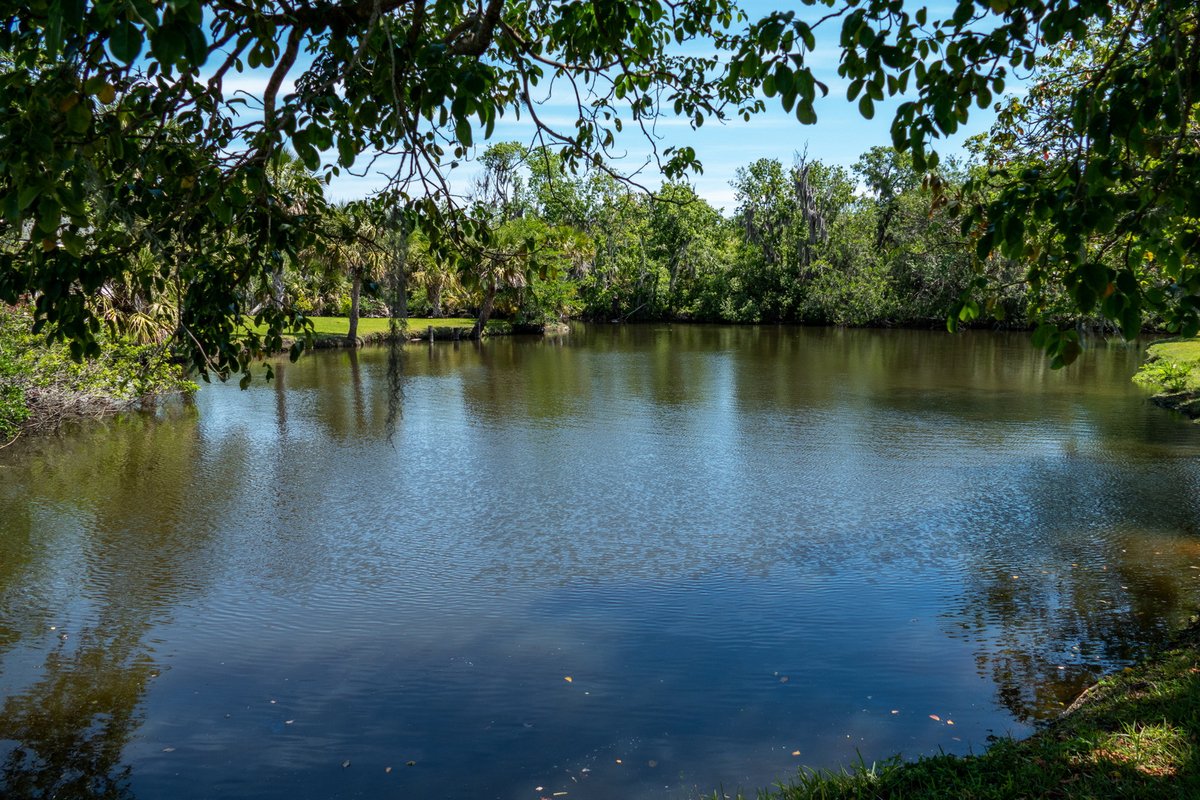 SJRWMD's tweet photo. Project to improve water quality in Indian River Lagoon moves forward https://t.co/9GTR9qOWmx https://t.co/RTJk6uLnON