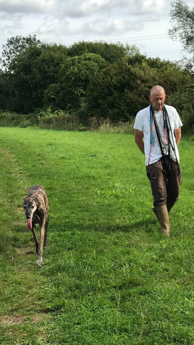 lurchermad neil harris tweet media