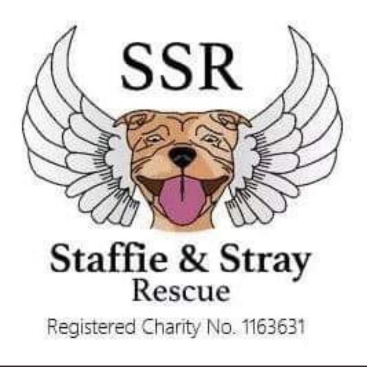 karen73984451's tweet photo. #rehomehour #getes a wee note of our next fundraising auction #TeamZay #Sunday 6 December bidding starts 7pm, all funds raised go directly to the fabulous @StaffiesRescue #TeamZay #itsallaboutthedogs https://t.co/3JGeKVOr6W