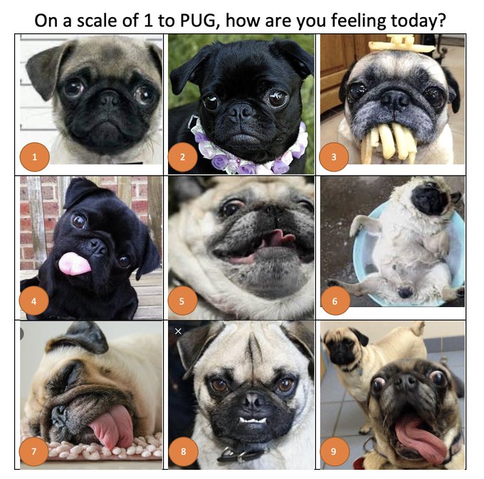 تويتر Tara Lee على تويتر Pernilleripp T Co 0dgbrcrr3z