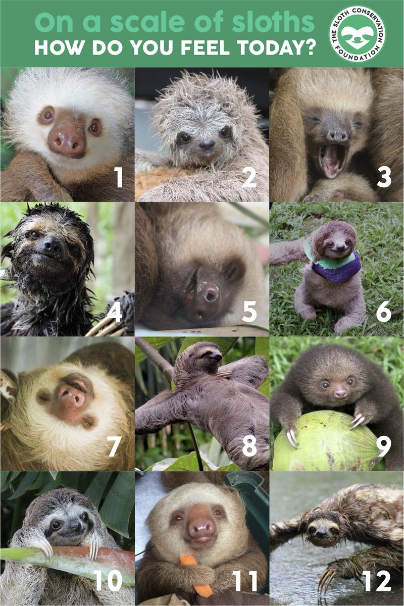 تويتر Tara Lee على تويتر Pernilleripp T Co 0dgbrcrr3z