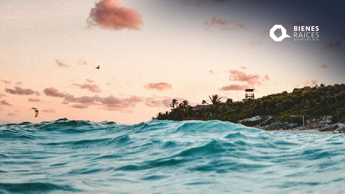 BienesRoo's tweet photo. Terrenos venta Tulum Q Roo
Desde $ 540,000 MXN · Sup 180 m2
ℹ️ Contáctanos
Móvil +52 1 961 138 48 65
#AgenciaInmobiliariaTulum #BienesRaícesTulum #TulumRealEstate #TerrenosenventaTulum #LotsforsaleTulum #RíoTulum #RivieraMayaRealEstateInvestment #InvertirenTulum #InvestinTulum https://t.co/oykYwVDSBR