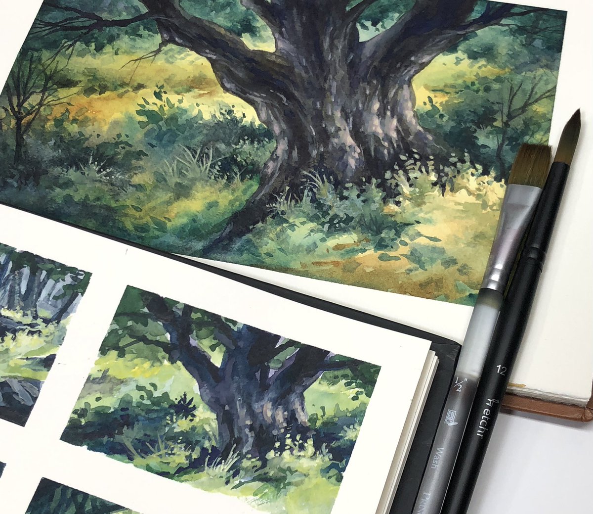 smitchelldesign's tweet photo. Taking this #thumbnail to final #watercolor mostly transparent color and touches of #gouache for highlights. #youtube episode running right now.
#mindertribe #watercolorpainting #watercolour #landscapepainting #theperfectsketchbook #fabrianoartistico #mgrahamwatercolors #etchr https://t.co/iueUkC7V3s