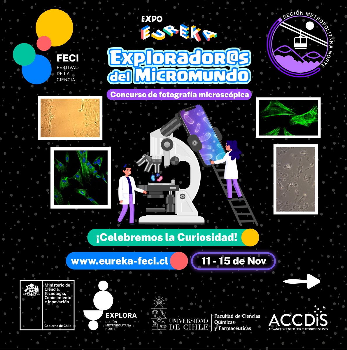 parexploranorte's tweet photo. ¡Tú eres parte de la celebración del Festival de la Ciencias! Te invitamos a participar en las #ExpoEureka de #FECIRMNorte 🔬🦠🧫 Explorador@s del Micromundo
📌Actividad gratuita para todo tipo de público
#ExploraRMNorte #FECI2020 #FECIRMNorte #EUREKA #CelebremosLaCuriosidad https://t.co/rValI8jjd5
