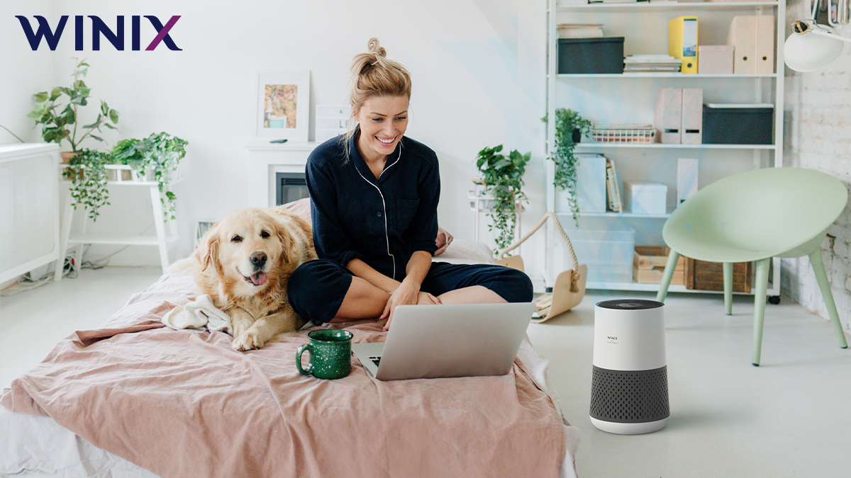 WinixAmerica's tweet photo. Ozone concerns? Here's a fresh take. https://t.co/2LvtJsGgnw https://t.co/hS0eCsnJGx