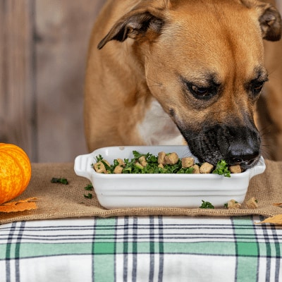 petsuppliesplus's tweet photo. Give your pets a taste of the holidays with @primalpetfoods. ๐ฆ๐ From Holiday Stuffing to Christmas cookies, Pet Supplies Plus has all the fixings you need to give your pet a wholesome holiday meal! #petsuppliesplus #minusthehassle #simplifytheseason #tistheseason #primalpet https://t.co/1Wd5xJ3Vrs