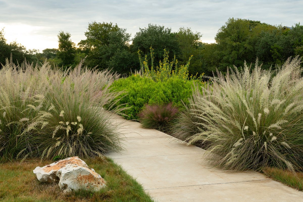 WildflowerCtr's tweet photo. Tomorrow, #VeteransDay in the U.S.A., we welcome veterans to enjoy nature w/free admission to the Center in honor of their service, love of country &amp; sacrifices for the common good. Thank you, veterans! 

Reserve tickets here: https://t.co/7YJeyBH3qq https://t.co/0nmXZHUtC3