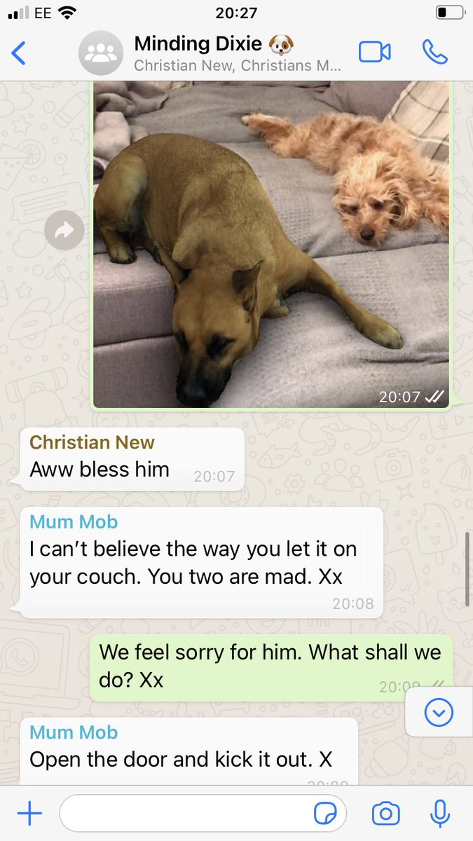 ScientistScouse's tweet image. This Sasha dog #instagramfilter is keeping me and my husband entertained in lockdown! Saw it on Facebook and just knew my mum would fall for it 😂 (scientists can have a laugh too you know) #lockdownfun #goingcrazyinlockdown #makeyourownfun #scientistsarefuntoo