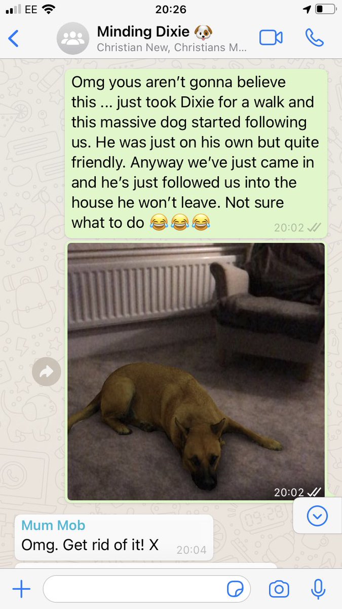 ScientistScouse's tweet image. This Sasha dog #instagramfilter is keeping me and my husband entertained in lockdown! Saw it on Facebook and just knew my mum would fall for it 😂 (scientists can have a laugh too you know) #lockdownfun #goingcrazyinlockdown #makeyourownfun #scientistsarefuntoo