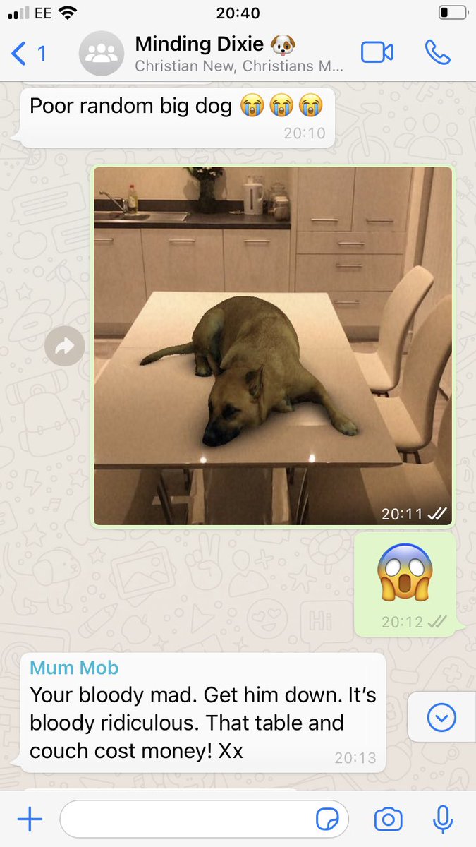 ScientistScouse's tweet image. This Sasha dog #instagramfilter is keeping me and my husband entertained in lockdown! Saw it on Facebook and just knew my mum would fall for it 😂 (scientists can have a laugh too you know) #lockdownfun #goingcrazyinlockdown #makeyourownfun #scientistsarefuntoo