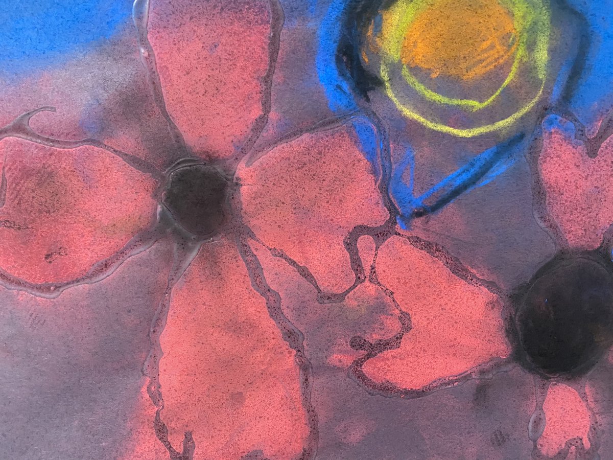 Cliff Drive Elementary tweet media