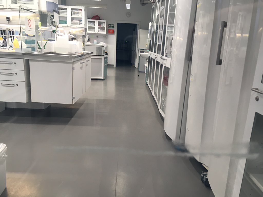 ClaesWassmann's tweet photo. Several weeks of exciting experiments and meeting great and clever people has come to an end. Thanks alot to the @IngmerLab for hosting me for my change of environment! It has been a great experience😊 https://t.co/LMmUWWrEUR