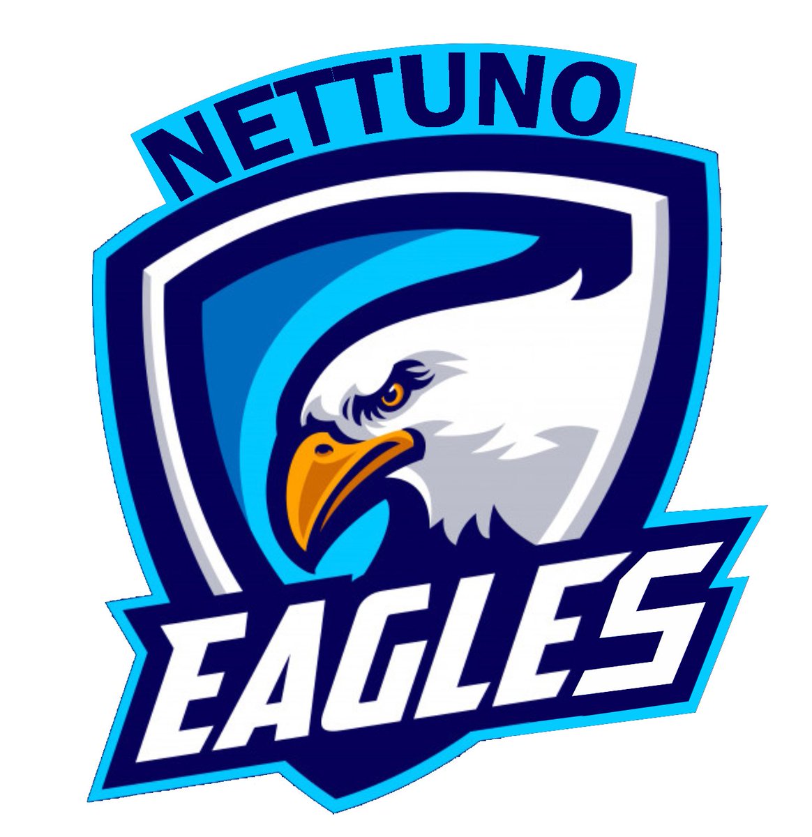 WebLeagueBoD's tweet photo. New Look 2020-2021 per gli Eagles Nettuno. Ecco il nuovo logo in vista della nuova edizione della Web League di @BoardOfDreamS https://t.co/KlmcxnNiHG